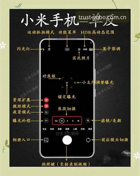 YOBO手机版教程深度解析：从注册到投注的全流程经验分享